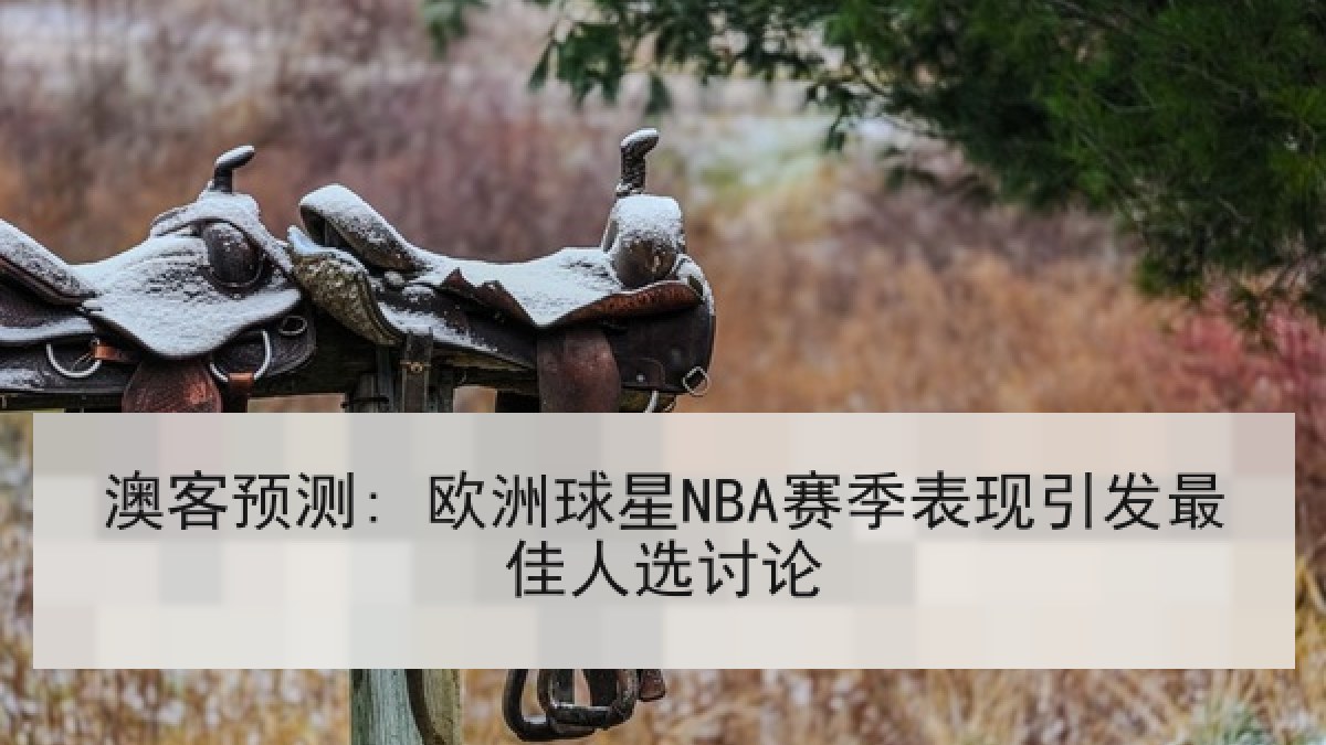 澳客预测: 欧洲球星NBA赛季表现引发最佳人选讨论