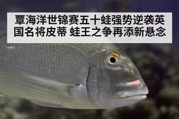 覃海洋世锦赛五十蛙强势逆袭英国名将皮蒂 蛙王之争再添新悬念